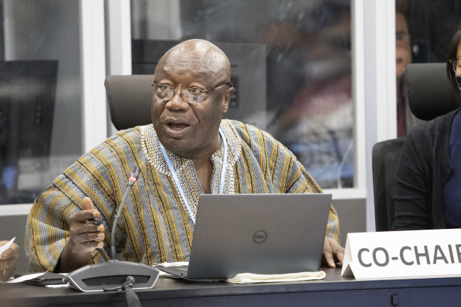 2 Kwaku Afriyie Minister Of The Environment Science Technology And